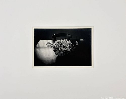Lot #669 (1 of 5)