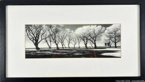 Lot #636 (1 of 6)