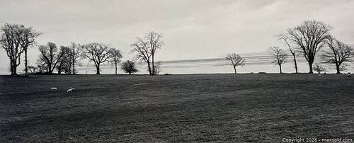 Lot #639 (1 of 4)