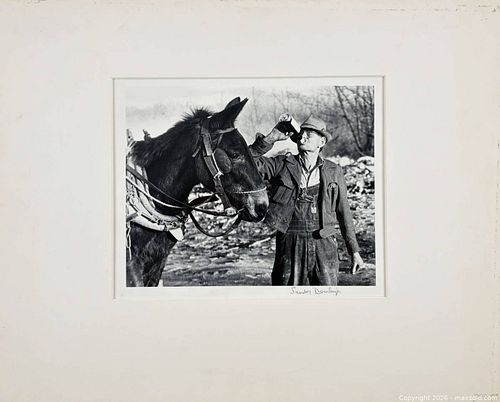 Lot #650 (1 of 4)