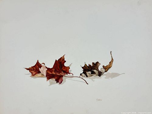 Lot #623 (1 of 8)