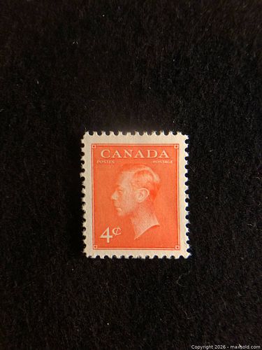 Lot #8 (1 of 3)