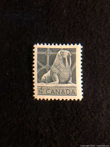 Lot #12 (1 of 3)