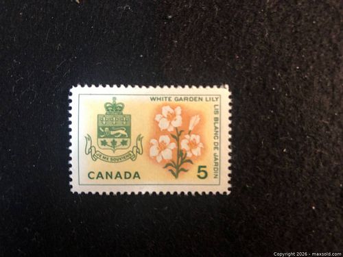 Lot #24 (1 of 3)