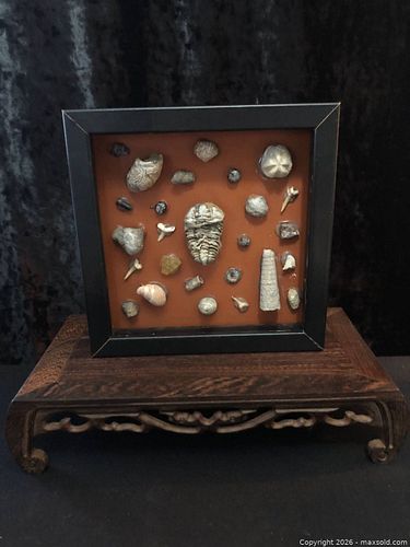 Lot #71 (1 of 3)