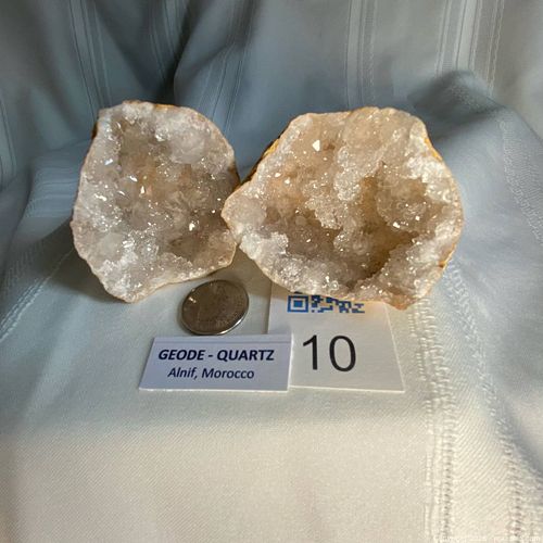Lot #10 (1 of 7)