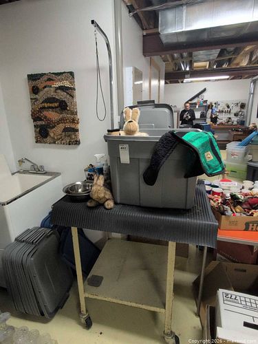 Pet Grooming Table and Tools C (1 of 14)