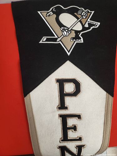 NHL Penguins Banner (1 of 2)