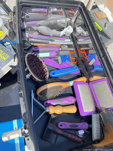 For The Dogs (1 of 7)