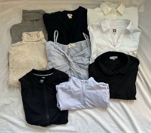 Lot #18 (1 of 12)