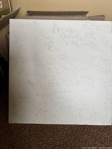Lot #10 (1 of 4)