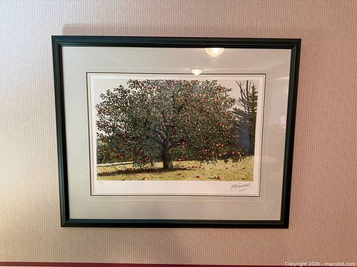 Lot #104 (1 of 5)