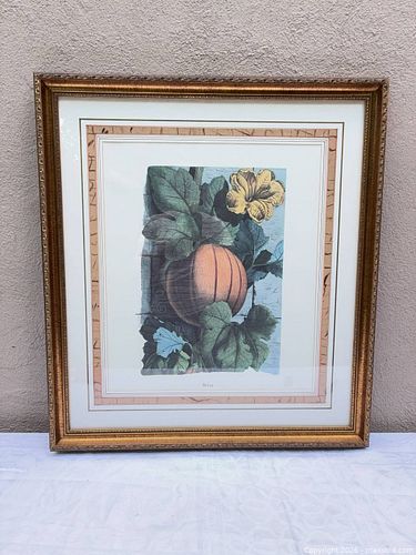 Lot #31 (1 of 4)