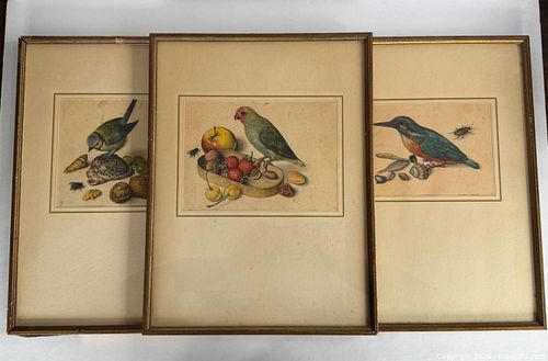Lot #826 (1 of 20)