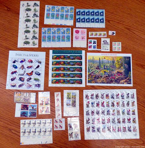 Lot #283 (1 of 12)