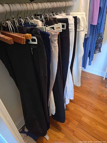 Clara Sunwoo + Various Clothing & Belts Bundle, Multiple Sizes B (1 of 16)