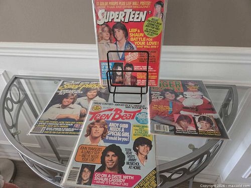 Lot of 4 Teen Beat, Tiger Beat & SuperTeen Magazines (1978–1979) (1 of 10)