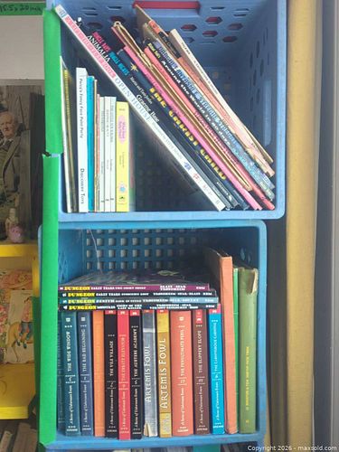 Lot of 6–20 Assorted English Books (Children's, YA, Reference, Graphic) (1 of 11)