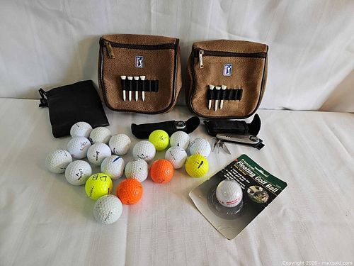 Lot #55 (1 of 11)