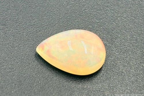 Lot #32 (1 of 6)