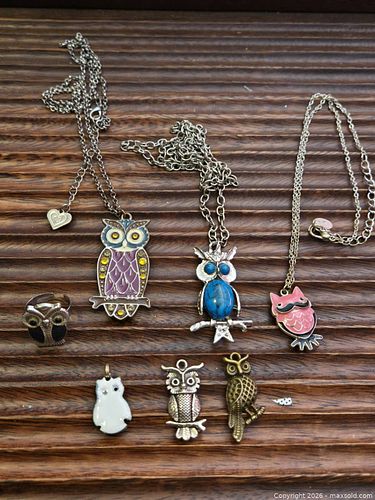 Assorted owl Jewelry.   (1 of 4)