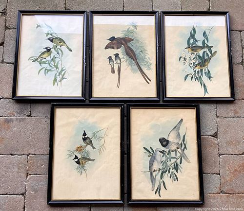 Lot #82 (1 of 20)