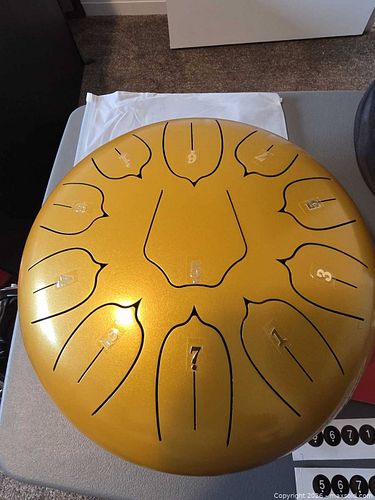 Gold Steel Tongue Drum 11-Note (10–14 in) with Case & Mallets (1 of 5)