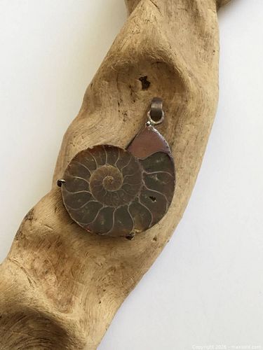 Lot #20 (1 of 4)