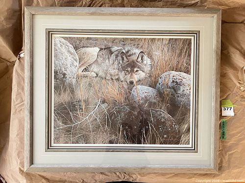 Lot #377 (1 of 14)