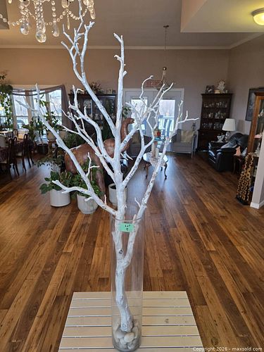 Lot #9 (1 of 3)