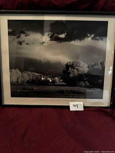 Lot #49 (1 of 2)