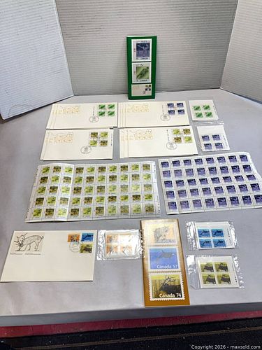 Lot #97 (1 of 11)