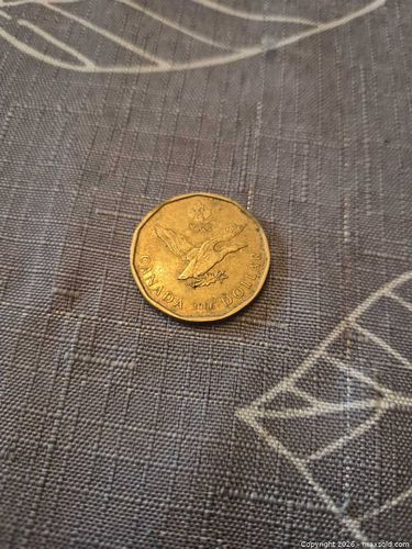 Lot #28 (1 of 2)