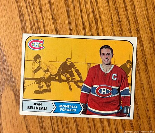 Lot #299 (1 of 2)
