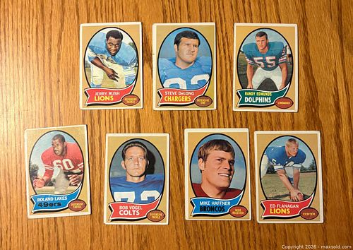 Lot #17 (1 of 2)