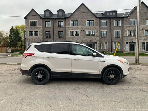 Lot #1 (1 of 20)