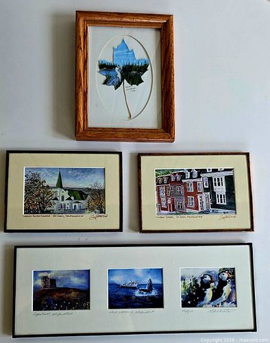 Lot #46 (1 of 14)