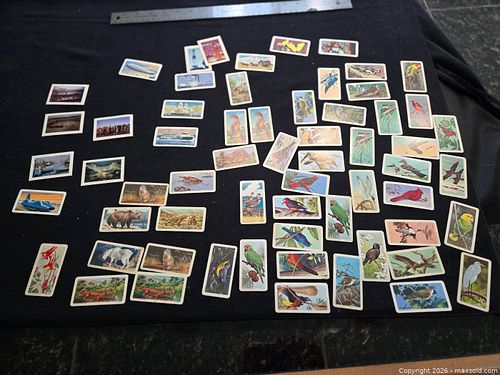 lot of old blue ribbon collectible cards (1 of 10)
