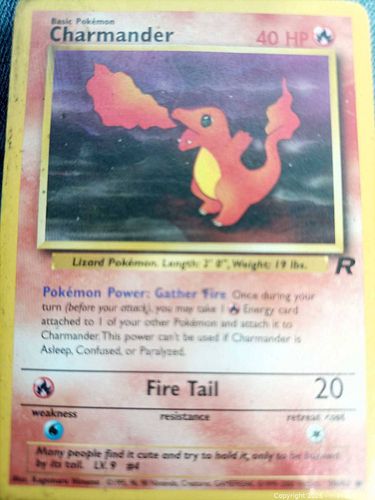 Lot #242 (1 of 5)