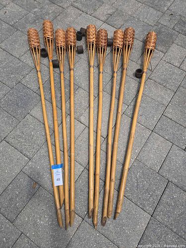 Lot #48 (1 of 8)