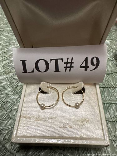 Lot #49 (1 of 4)