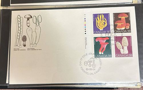 Lot #72 (1 of 3)