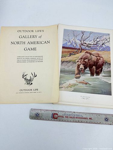 Lot #46 (1 of 12)