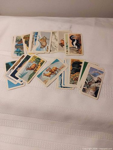 Lot #162 (1 of 5)