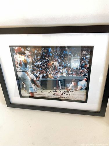 Lot #81 (1 of 3)