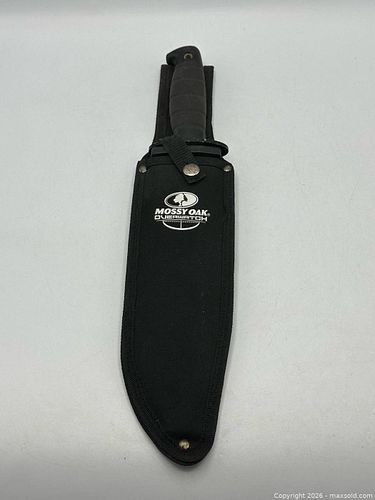 Lot #86 (1 of 3)