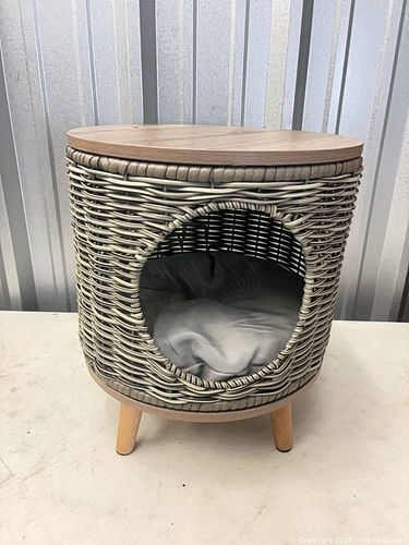 Lot #51 (1 of 5)