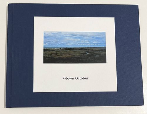 Lot #49 (1 of 11)