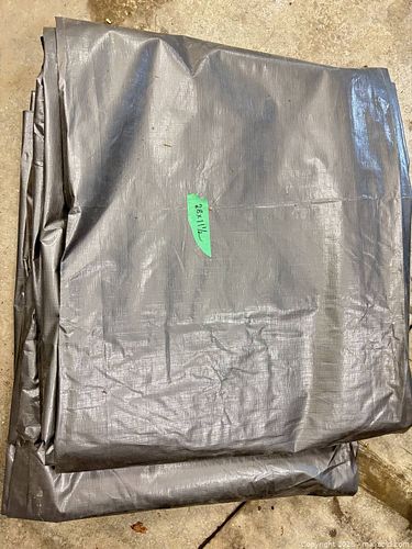 Lot #31 (1 of 3)