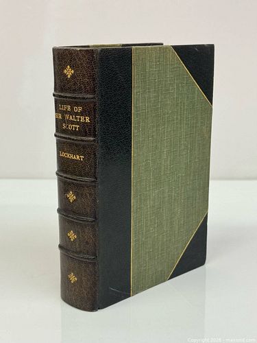 Lot #310 (1 of 12)